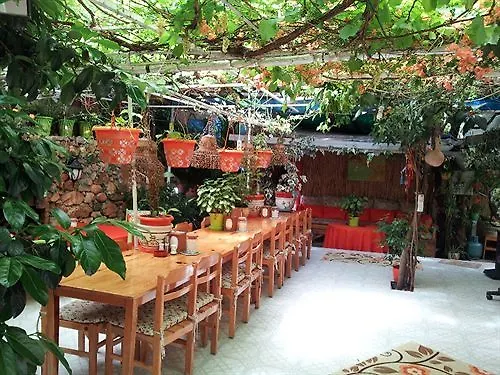 Ferah Monica's Place *