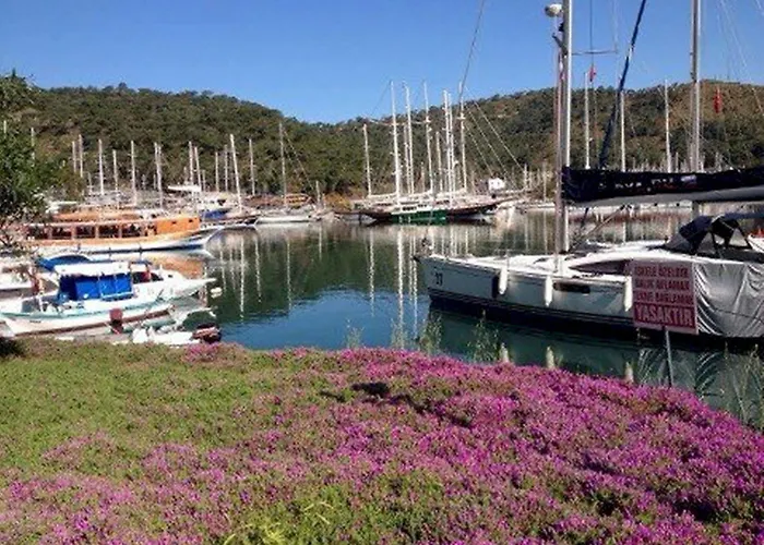 Ferah Monica's Place Hostel *