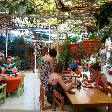 Ferah Monica's Place Hostel *