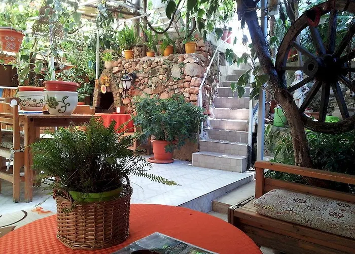 Ferah Monica's Place Vandrerhjem