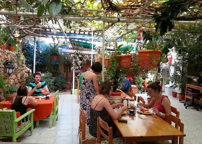 Ferah Monica's Place Vandrerhjem *