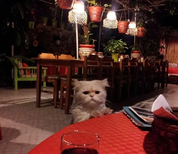 Vandrerhjem Ferah Monica's Place *