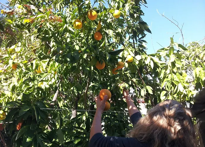 Ferah Monica's Place * Fethiye