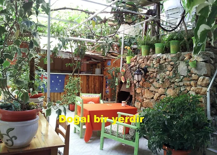 Vandrerhjem Ferah Monica's Place *