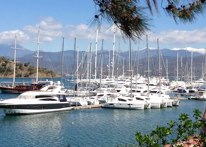 Ferah Monica's Place Vandrerhjem *