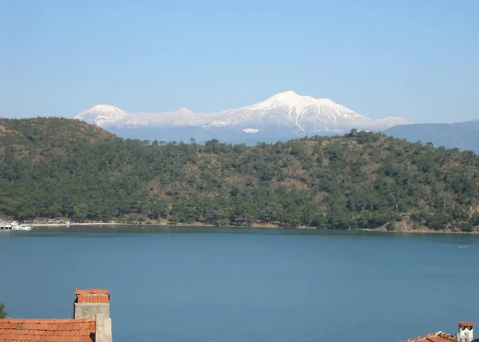 Ferah Monica's Place