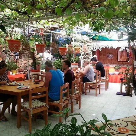 Ferah Monica's Place 旅馆 *