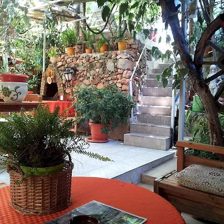 Ferah Monica's Place 旅馆