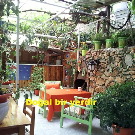 호스텔 Ferah Monica's Place *